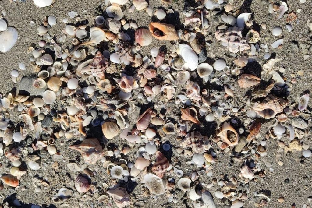 Santa Pola Con Tres Dormitorios Playa Levante Ngoại thất bức ảnh